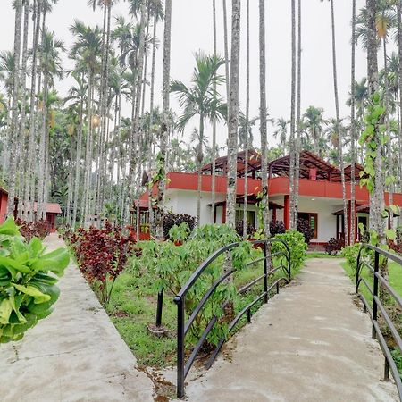 Ezzenza Areca Resort Madikeri Esterno foto