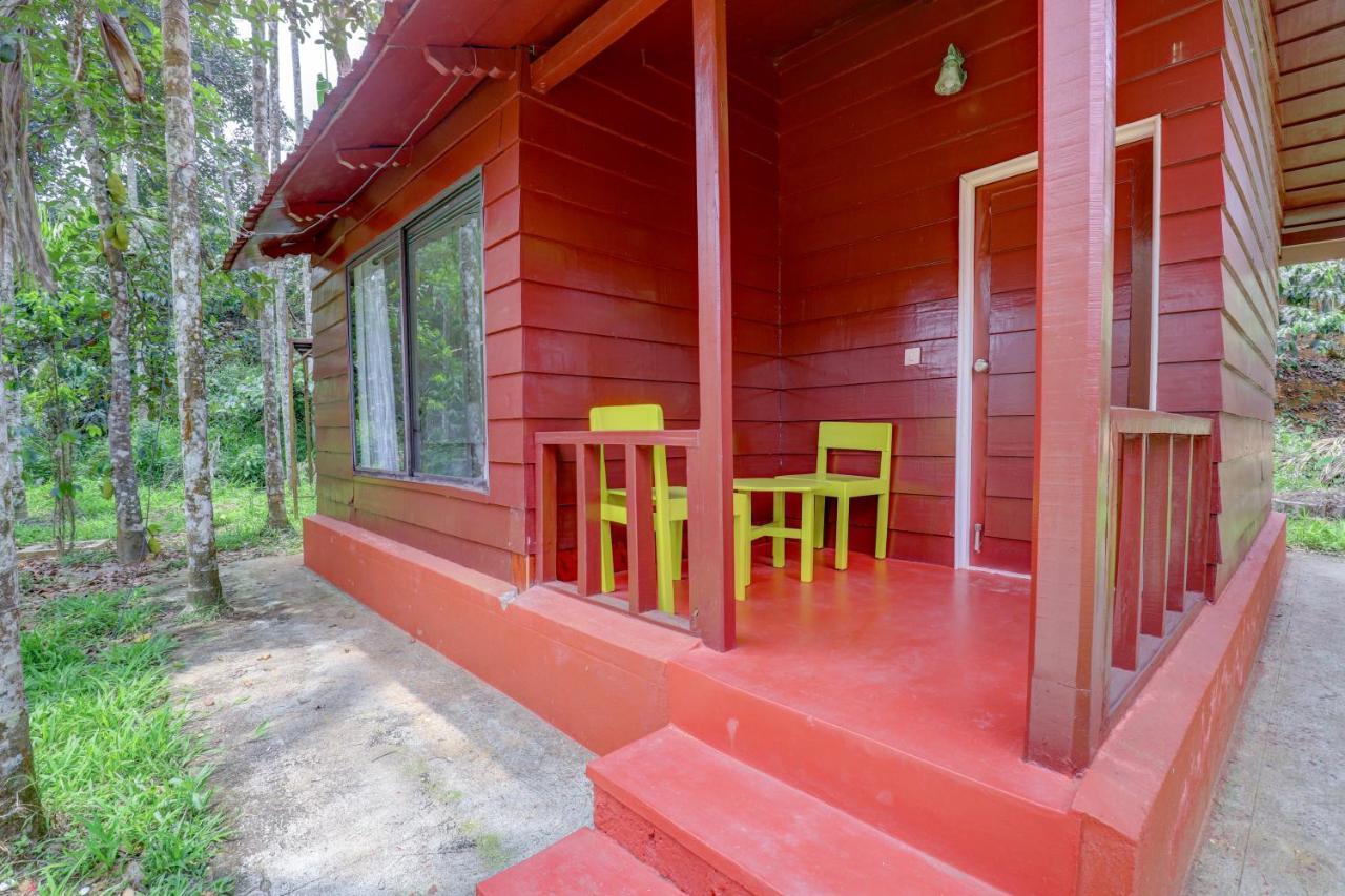 Ezzenza Areca Resort Madikeri Esterno foto